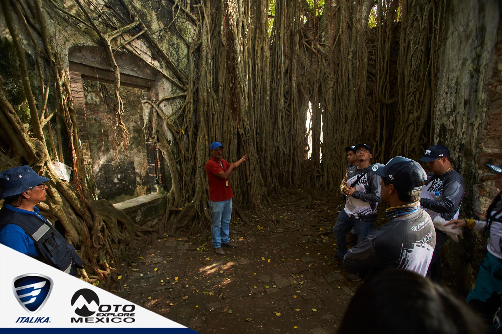 ITALIKA CHACHALACAS D1 274